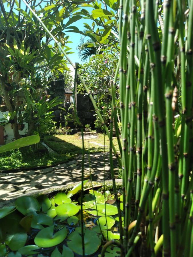 Serongga Guest House Lebih Ngoại thất bức ảnh