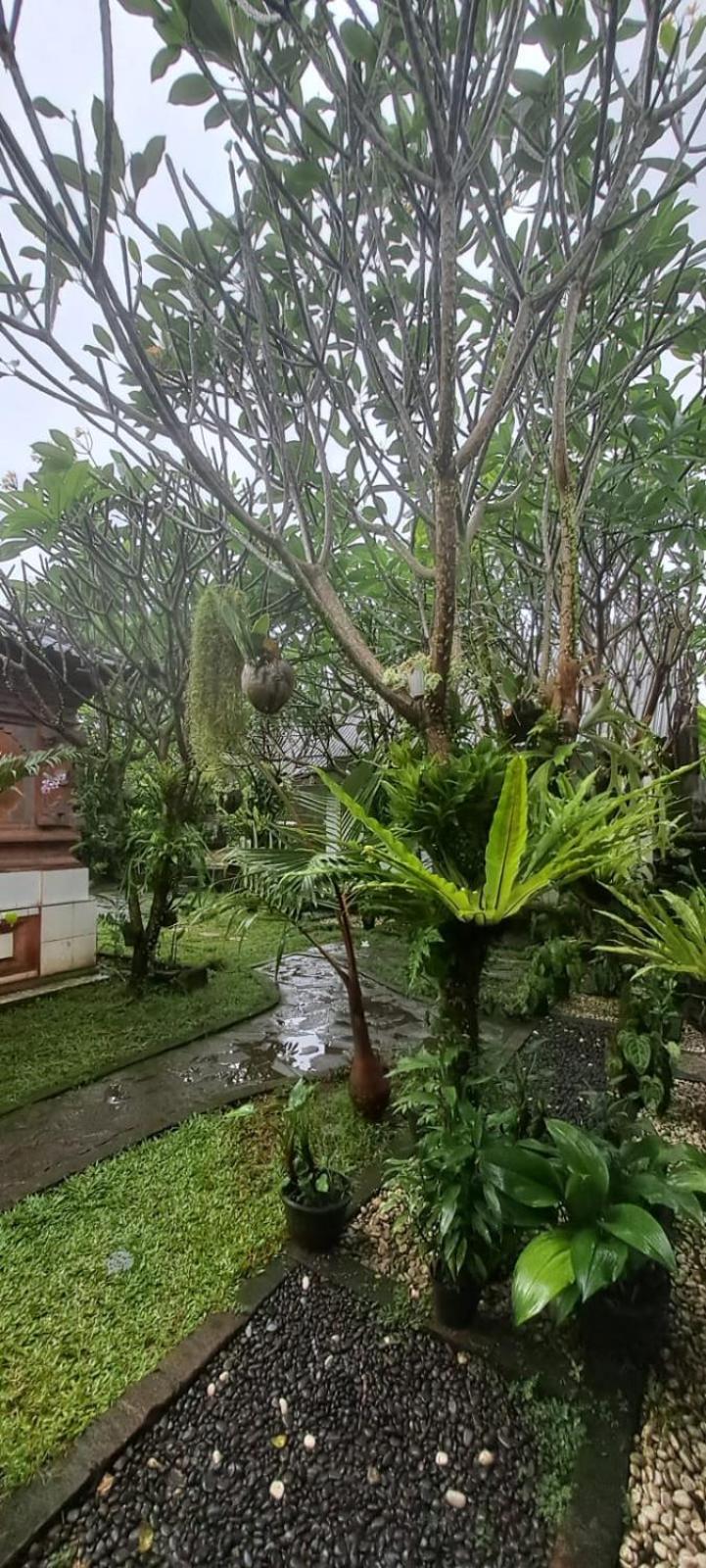 Serongga Guest House Lebih Ngoại thất bức ảnh